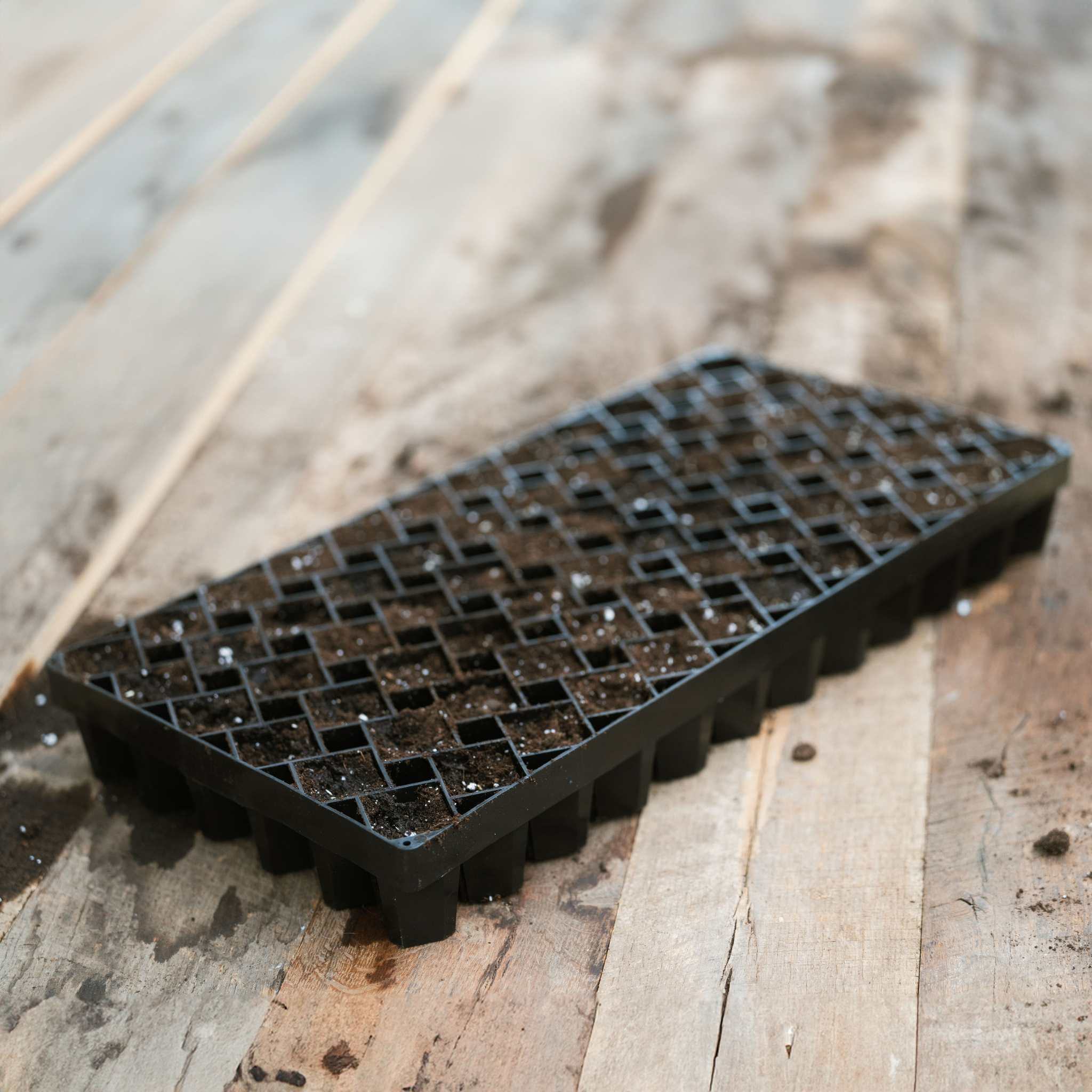 Air Prune Heavy Duty Propagation Tray - 72 Cell | 1 Tray / Black - Image 2