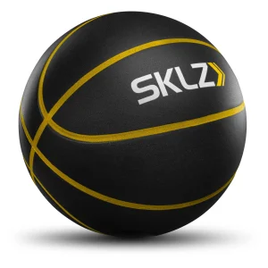 Bashhhketball Pro