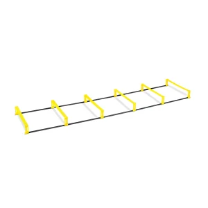 Elevation Ladder