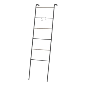 Metal Garment Rack - Ladder | Black