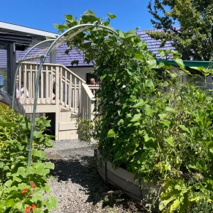 DIY Garden Arch